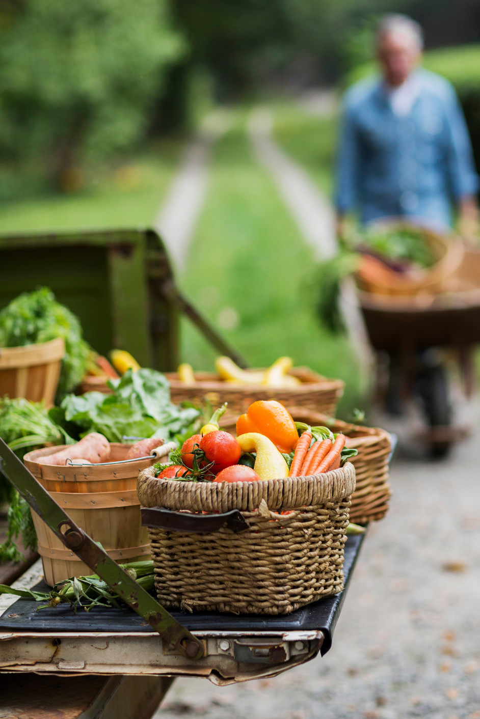 Baskets Of Harvested Vegetables In Garden.